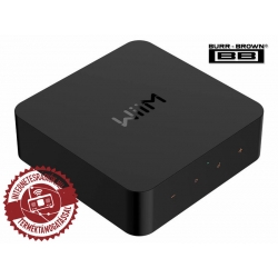 Pro Wifi hálózati audio lejátszó