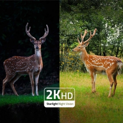 Digitalszalon.hu 